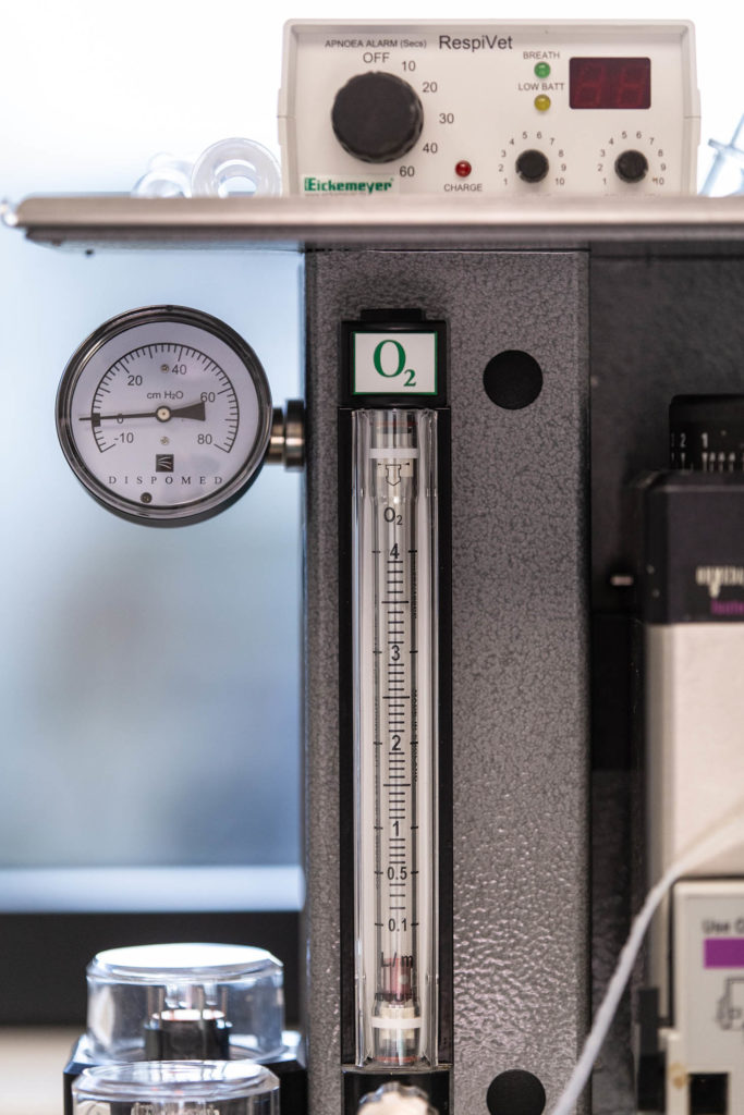 photographie de détail par Manuel Grimm, en Alsace